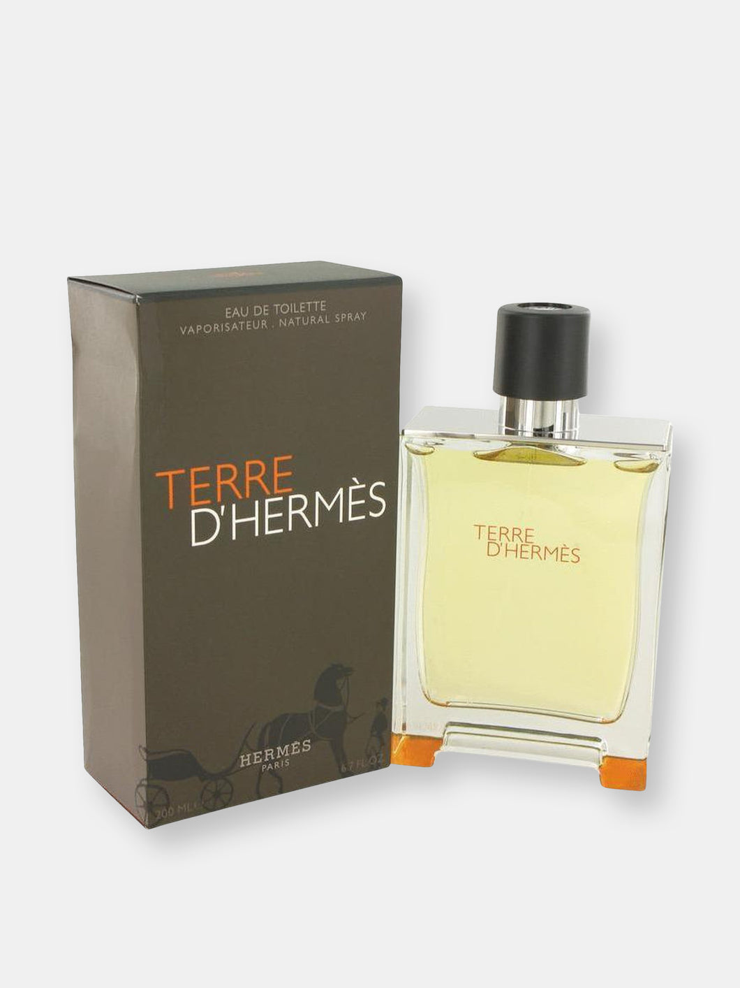Terre D'Hermes by Hermes Eau De Toilette Spray 6.7 oz