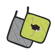Load image into Gallery viewer, Common Ostrich Green Pair of Pot Holders