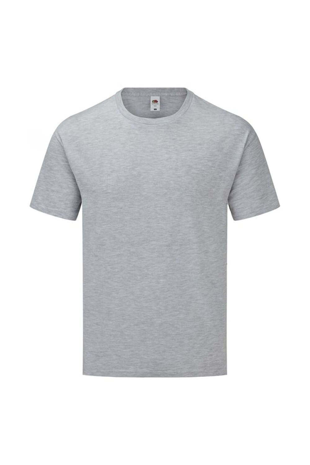 Fruit of the Loom Unisex Adult Iconic 165 Classic T-Shirt (Gray Heather)
