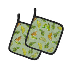 Load image into Gallery viewer, Lemons, Limes and Oranges Pair of Pot Holders