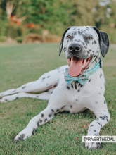 Load image into Gallery viewer, Bowtie - Pup Pup Hooray