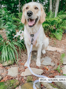 Leash - Dainty Daisy