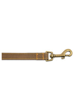 Load image into Gallery viewer, Timberwolf Leather Dog Slip Lead - 1 m x 19 mm