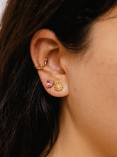 Load image into Gallery viewer, La Passion Earrings