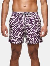 Load image into Gallery viewer, Tropical Zebra II Swim Shorts