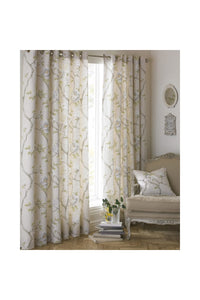 Riva Home Rosemoor Eyelet Curtains (Natural) (46x54in)