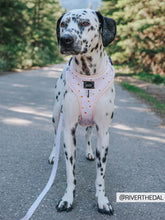 Load image into Gallery viewer, Leash - Dainty Daisy