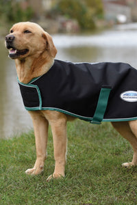 Weatherbeeta Green-Tec 900D Lite Plus Dog Coat