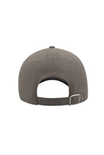 Load image into Gallery viewer, Liberty Sandwich Heavy Brush Cotton 6 Panel Cap - Gray/Navy