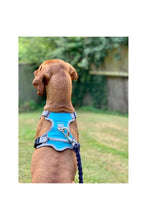 Load image into Gallery viewer, Henry Wag Travel Dog Harness (Blue/Gray) (Medium)