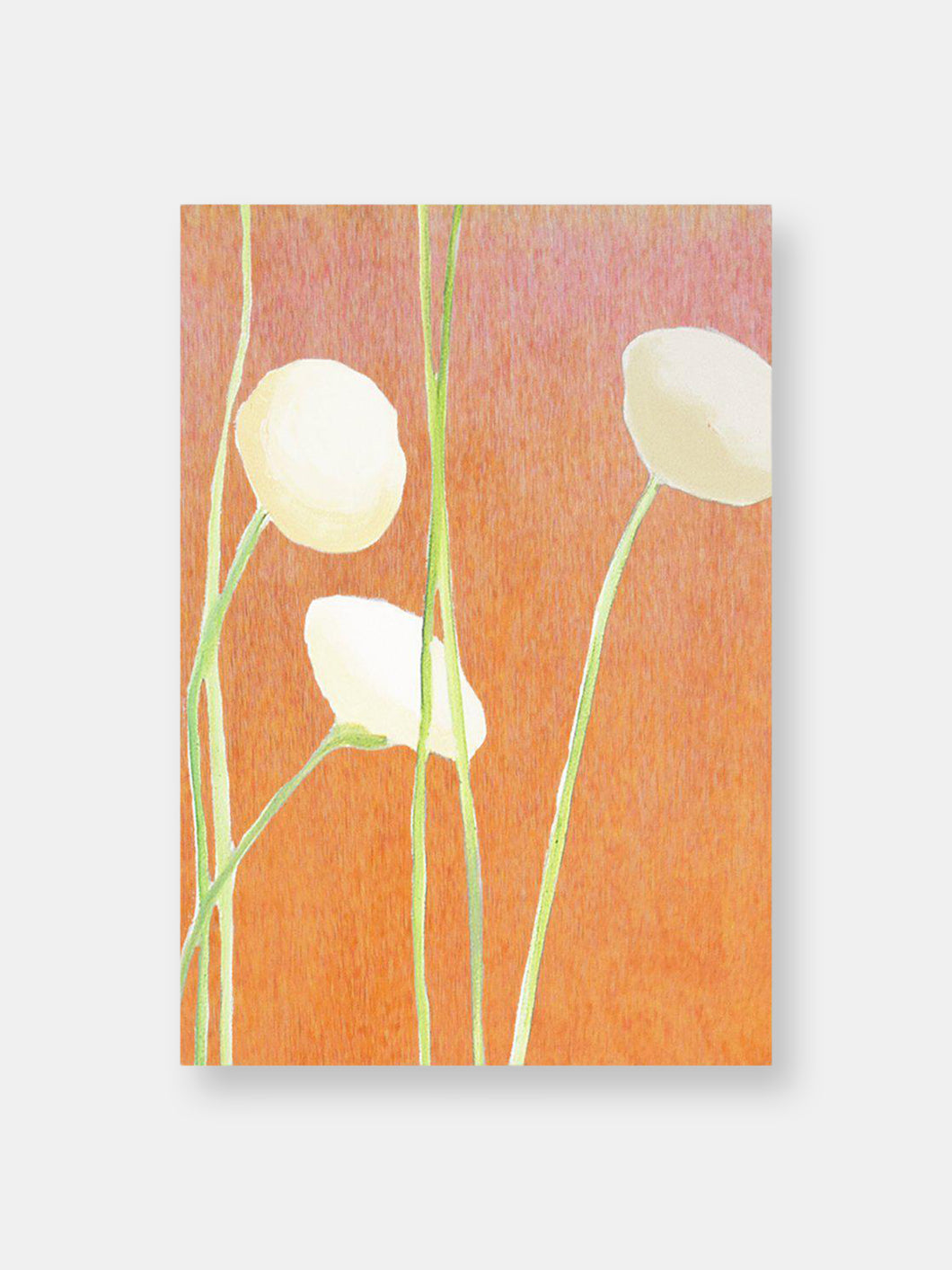 Art Print:  Cream Flowers on Orange
