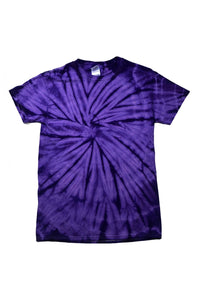 Colortone Childrens Little Boys Tonal Spider Short Sleeve T-Shirt (Spider Purple)