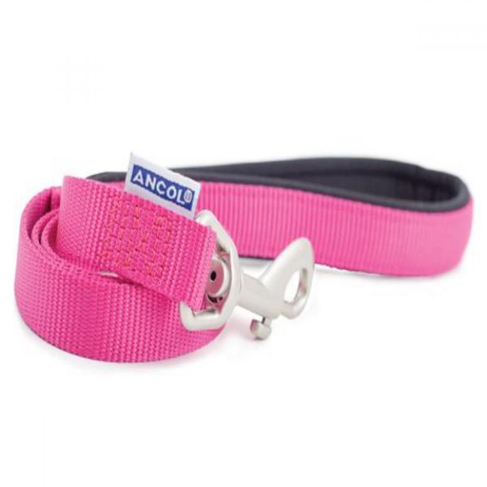 Ancol Pet Products Heritage Padded Weatherproof Dog Leash (Raspberry) (0.75in x 3.3ft)
