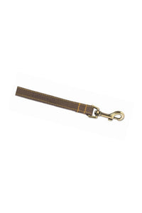 Ancol Timberwolf Leather Dog Leash (Sable) (One Size)