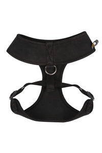 Regatta Dog Harness (Black) (S)