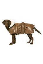 Load image into Gallery viewer, Danish Design Pet Products Waggles Dog Coat (Brown) (21.6in) (21.6in)