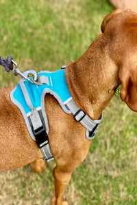 Henry Wag Travel Dog Harness (Blue/Gray) (M)