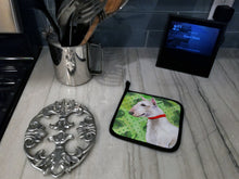 Load image into Gallery viewer, Bull Terrier St Patrick&#39;s Pair of Pot Holders