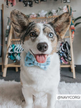 Load image into Gallery viewer, Bowtie - Woof Claw: Sassy Seltzer
