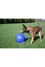 Load image into Gallery viewer, Jolly Pets Push-N-Play Dog Ball (Blue) (4.5in)