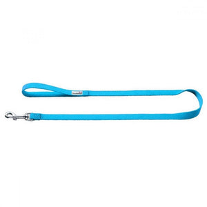 Doodlebone Bold Nylon Dog Leash (Light Blue) (1in x 4.3ft)