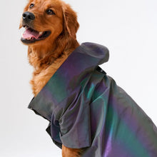 Load image into Gallery viewer, Weather Proof Pet Coat