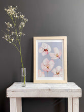 Load image into Gallery viewer, Art Print:  Cherry Blossoms on Grey