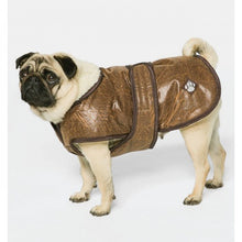 Load image into Gallery viewer, Danish Design Pet Products Waggles Dog Coat (Brown) (9.8in)