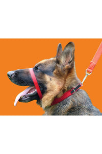 Canny Dog Training Collar (Red) (4)