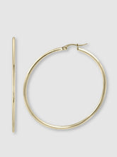 Load image into Gallery viewer, Margot Thin Gold Hoop Earrings