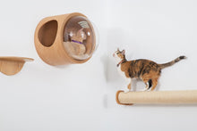 Load image into Gallery viewer, Cylinder Replacement, Accessories: Extend Cat scratcher, Scratching Post To Two Times Length