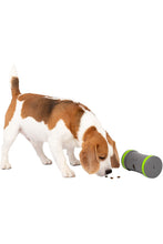 Load image into Gallery viewer, Petsafe Kibble Chase Dog Treat Dispenser