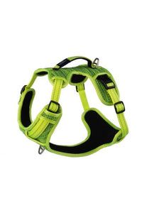 Rogz Utility Explore Dog Harness (Light Green) (14.57in - 18.9in)