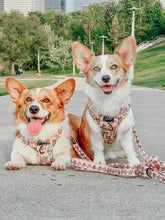 Load image into Gallery viewer, Adjustable Harness - Corgilicious