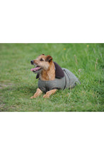 Load image into Gallery viewer, Weatherbeeta Tweed Dog Coat II (Olive) (23.6in) (23.6in)