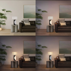 Nova of California Half Moon 30" Table Lamp in Charcoal Gray and Brushed Nickel with 4-Way Rotary switch